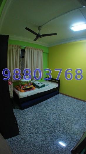 WOODLANDS STREET 82 thumbnail photo